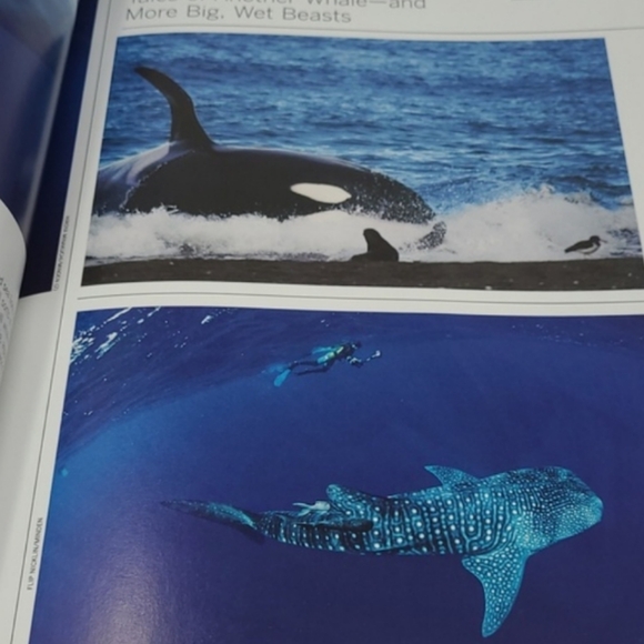 2010 LIFE BOOKS - WONDERS OF LIFE - THE AMAZING WORLD OF NATURE - Picture 12 of 16